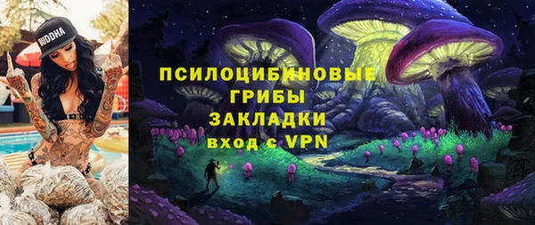 молекула духа Баксан