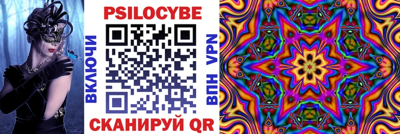 MEGA Буйнакск Псилоцибиновые грибы Psilocybine cubensis цены наркотик