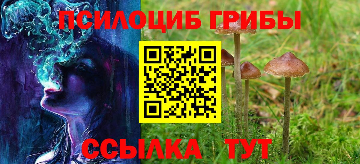 Галлюциногенные грибы Psilocybine cubensis  Вход с VPN  Буйнакск  Галлюциногенные грибы ЛСД 